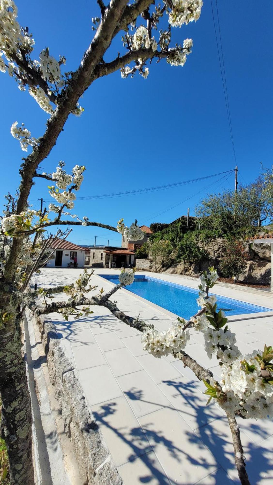 Casa Dos Strecht'S Konuk evi Castelo de Paiva Dış mekan fotoğraf